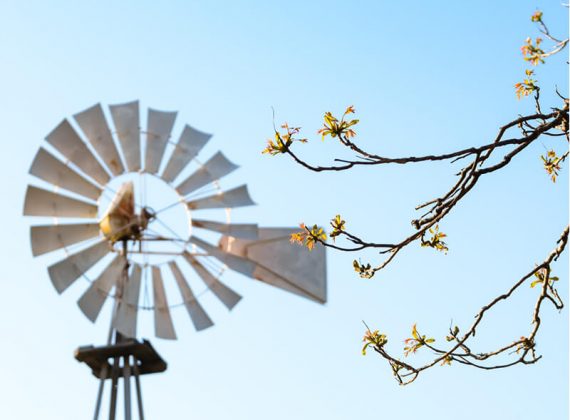 waterside windtower image