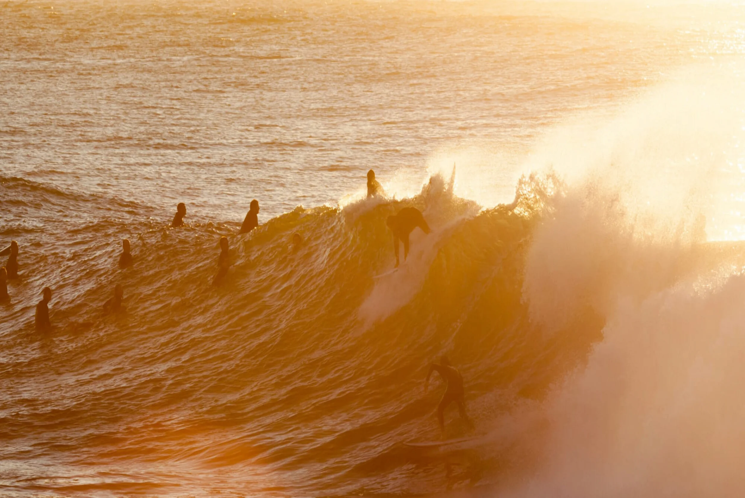 Roberts-Development-Surfers-2-1-12