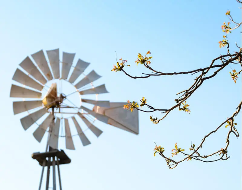 Waterside windtower